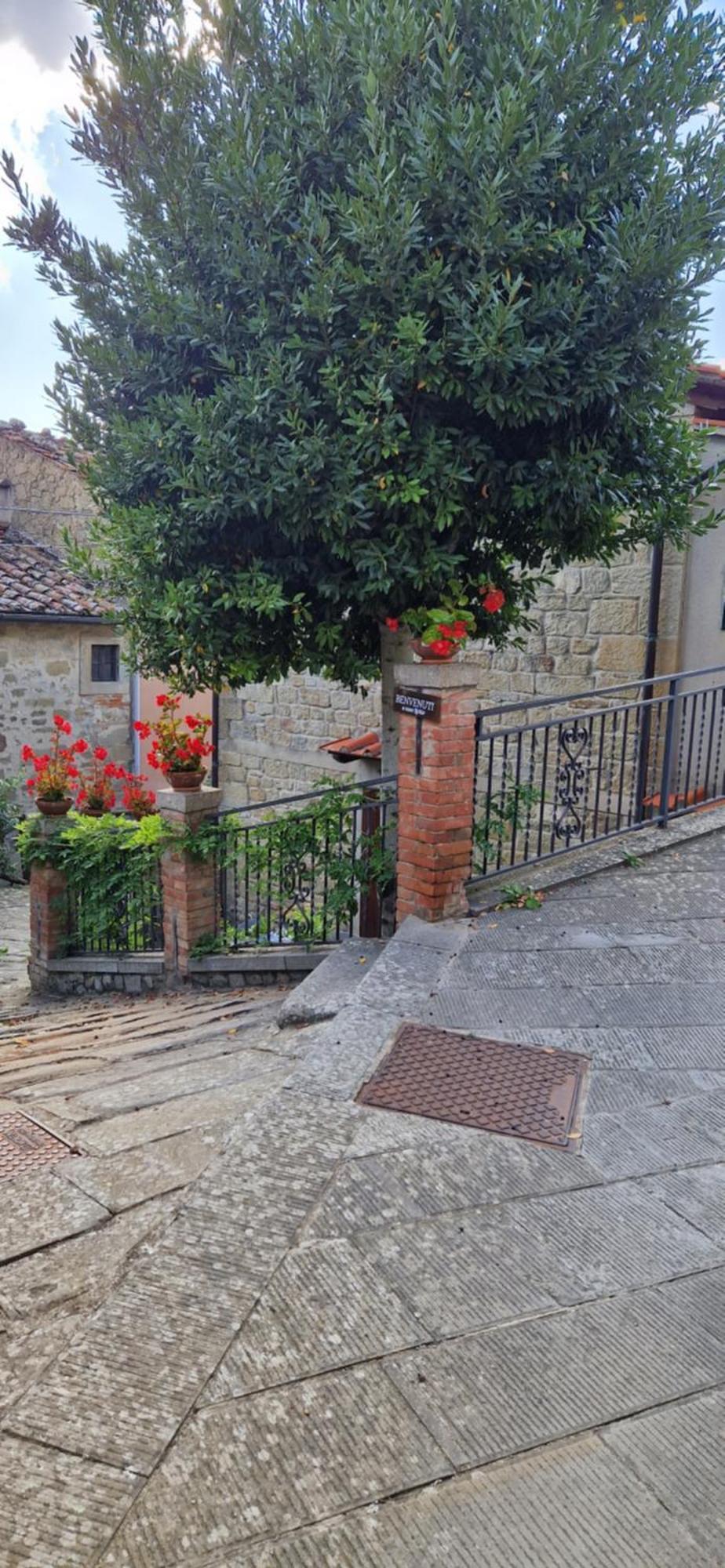 Villa Casa Lichio à Stia Extérieur photo